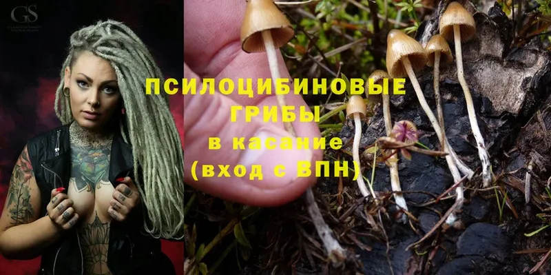 mega как войти  Ялта  Галлюциногенные грибы GOLDEN TEACHER 